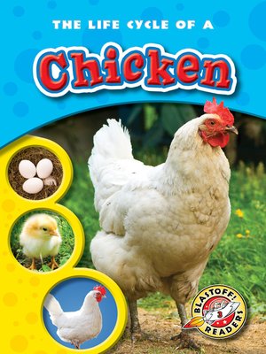 cover image of The Life Cycle of a Chicken